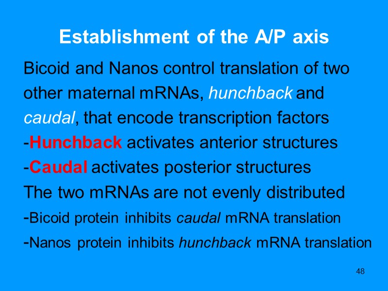 48 Establishment of the A/P axis Bicoid and Nanos control translation of two other 48 Establishment of the A/P axis Bicoid and Nanos control translation of two other